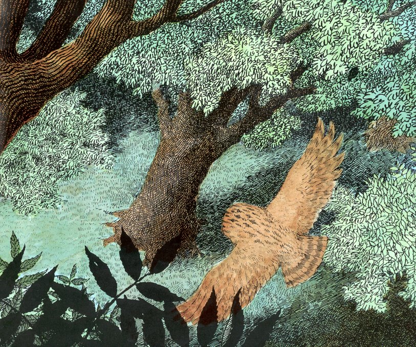 owl babies (09),绘本,绘本故事,绘本阅读,故事书,童书,图画书,课外阅读